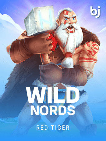 WildNord screenshot